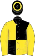 BLACK and YELLOW QUARTERED, yellow sleeves, black cap with yellow hoop