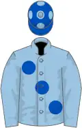 Light blue, large royal blue spots, royal blue cap, light blue spots