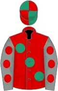 Red, large emerald green spots, grey sleeves, red spots, emerald green and red quartered cap