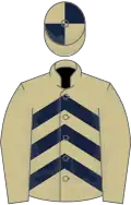Beige, dark blue chevrons, beige sleeves, quartered cap