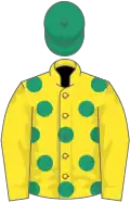 Yellow, emerald green spots, yellow sleeves, emerald green cap
