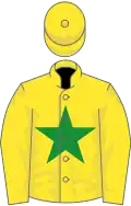 Yellow, green star on body and on cap