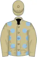 Beige, light blue spots, beige sleeves and cap