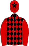 Red and black diamonds, red sleeves, red cap, black star