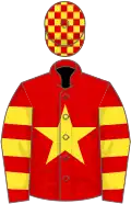 Red, yellow star, hooped sleeves, checked cap