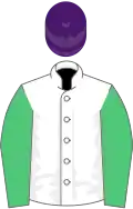 White, emerald green sleeves, purple cap