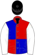 Red and royal blue (quartered), white sleeves, black cap