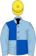 Light blue and royal blue (quartered), light blue sleeves, yellow cap