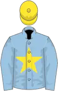 Light blue, yellow star and cap