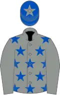 Grey, royal blue stars on body, blue cap, grey star