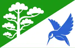 Flag of Põlva Parish