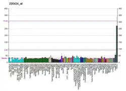 Gene expression pattern of the NPHS2 gene.