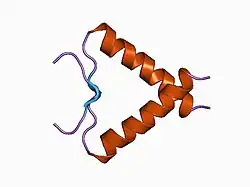 1a1u: SOLUTION STRUCTURE DETERMINATION OF A P53 MUTANT DIMERIZATION DOMAIN, NMR, MINIMIZED AVERAGE STRUCTURE