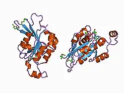 1an0: CDC42HS-GDP COMPLEX