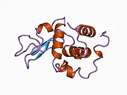 1b7q: VERIFICATION OF SPMP USING MUTANT HUMAN LYSOZYMES