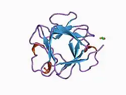 1bff: THE 154 AMINO ACID FORM OF HUMAN BASIC FIBROBLAST GROWTH FACTOR