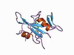 1bhf: P56LCK SH2 DOMAIN INHIBITOR COMPLEX