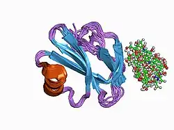 1cds: STRUCTURE OF A SOLUBLE, GLYCOSYLATED FORM OF THE HUMAN COMPLEMENT REGULATORY PROTEIN CD59