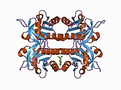 1d1j: CRYSTAL STRUCTURE OF HUMAN PROFILIN II