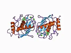 1d5j: CRYSTAL STRUCTURE OF MMP3 COMPLEXED WITH A THIAZEPINE BASED INHIBITOR.