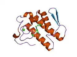 1dcy: Crystal structure of human S-PLA2 in complex with indole 3 active site inhibitor