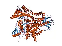 1e90: STRUCTURE DETERMINANTS OF PHOSPHOINOSITIDE 3-KINASE INHIBITION BY WORTMANNIN, LY294002, QUERCETIN, MYRICETIN AND STAUROSPORINE