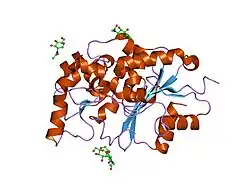 1ei9: CRYSTAL STRUCTURE OF PALMITOYL PROTEIN THIOESTERASE 1