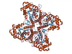 1ewd: FRUCTOSE 1,6-BISPHOSPHATE ALDOLASE FROM RABBIT MUSCLE