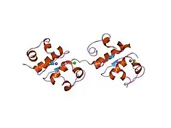 1fu2: FIRST PROTEIN STRUCTURE DETERMINED FROM X-RAY POWDER DIFFRACTION DATA