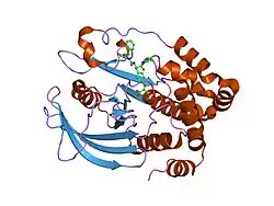 1g7f: HUMAN PTP1B CATALYTIC DOMAIN COMPLEXED WITH PNU177496