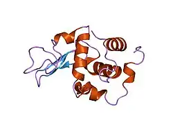 1gfk: CRYSTAL STRUCTURE OF MUTANT HUMAN LYSOZYME SUBSTITUTED AT THE SURFACE POSITIONS