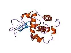 1gfu: CRYSTAL STRUCTURE OF MUTANT HUMAN LYSOZYME SUBSTITUTED AT THE SURFACE POSITIONS