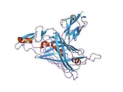 1gl4: NIDOGEN-1 G2/PERLECAN IG3 COMPLEX