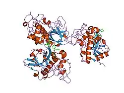 1gmy: CATHEPSIN B COMPLEXED WITH DIPEPTIDYL NITRILE INHIBITOR