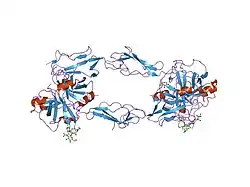 1gpz: THE CRYSTAL STRUCTURE OF THE ZYMOGEN CATALYTIC DOMAIN OF COMPLEMENT PROTEASE C1R