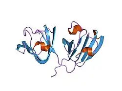 1hk0: HUMAN GAMMA-D CRYSTALLIN STRUCTURE AT 1.25 A RESOLUTION