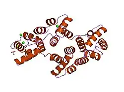 1hvf: STRUCTURAL AND ELECTROPHYSIOLOGICAL ANALYSIS OF ANNEXIN V MUTANTS. MUTAGENESIS OF HUMAN ANNEXIN V, AN IN VITRO VOLTAGE-GATED CALCIUM CHANNEL, PROVIDES INFORMATION ABOUT THE STRUCTURAL FEATURES OF THE ION PATHWAY, THE VOLTAGE SENSOR AND THE ION SELECTIVITY FILTER