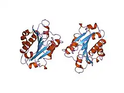 1idn: MAC-1 I DOMAIN METAL FREE