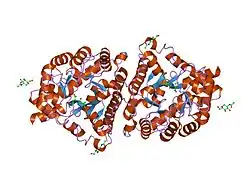1itu: HUMAN RENAL DIPEPTIDASE COMPLEXED WITH CILASTATIN