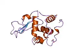 1jkd: HUMAN LYSOZYME MUTANT WITH TRP 109 REPLACED BY ALA