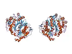 1ju6: Human Thymidylate Synthase Complex with dUMP and LY231514, A Pyrrolo(2,3-d)pyrimidine-based Antifolate