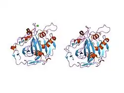 1jv0: THE CRYSTAL STRUCTURE OF THE ZINC(II) ADDUCT OF THE CAI MICHIGAN 1 VARIANT
