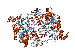 1jv1: CRYSTAL STRUCTURE OF HUMAN AGX1 COMPLEXED WITH UDPGLCNAC