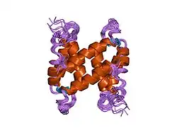 1k2h: Three-dimensional Solution Structure of apo-S100A1.