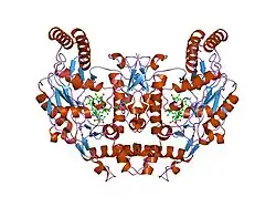 1k2s: Structure of rat brain nNOS heme domain complexed with NG-allyl-L-arginine