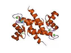 1k9k: CRYSTAL STRUCTURE OF CALCIUM BOUND HUMAN S100A6