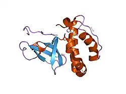 1khc: Crystal Structure of the PWWP Domain of Mammalian DNA Methyltransferase Dnmt3b