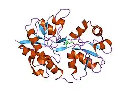 1lbb: Crystal structure of the GluR2 ligand binding domain mutant (S1S2J-N754D) in complex with kainate at 2.1 A resolution