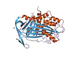 1lj5: 1.8A Resolution Structure of Latent Plasminogen Activator Inhibitor-1(PAI-1)