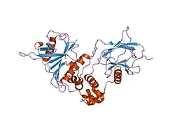 1lqb: Crystal structure of a hydroxylated HIF-1 alpha peptide bound to the pVHL/elongin-C/elongin-B complex
